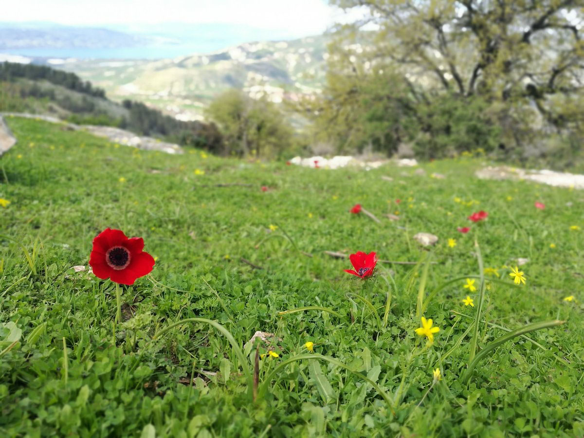 أجواء معتدلة في أغلب المناطق اليوم وحارة جافة حتى الخميس