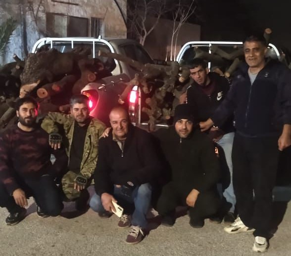 1.5 tons of illegally cut oak trees seized in Ajloun