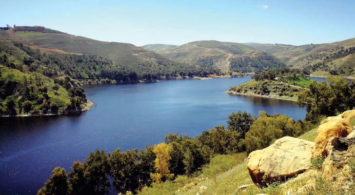 Missing Person Found Dead in King Talal Dam