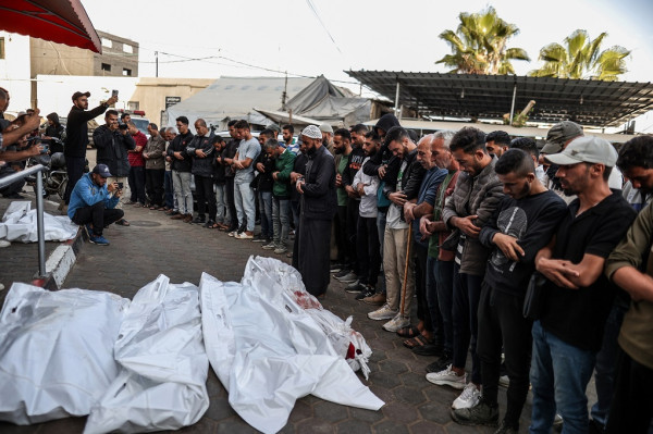 Gaza: 51 Killed, 113 Injured in Past 24 Hours Amid Ongoing Israeli Attacks