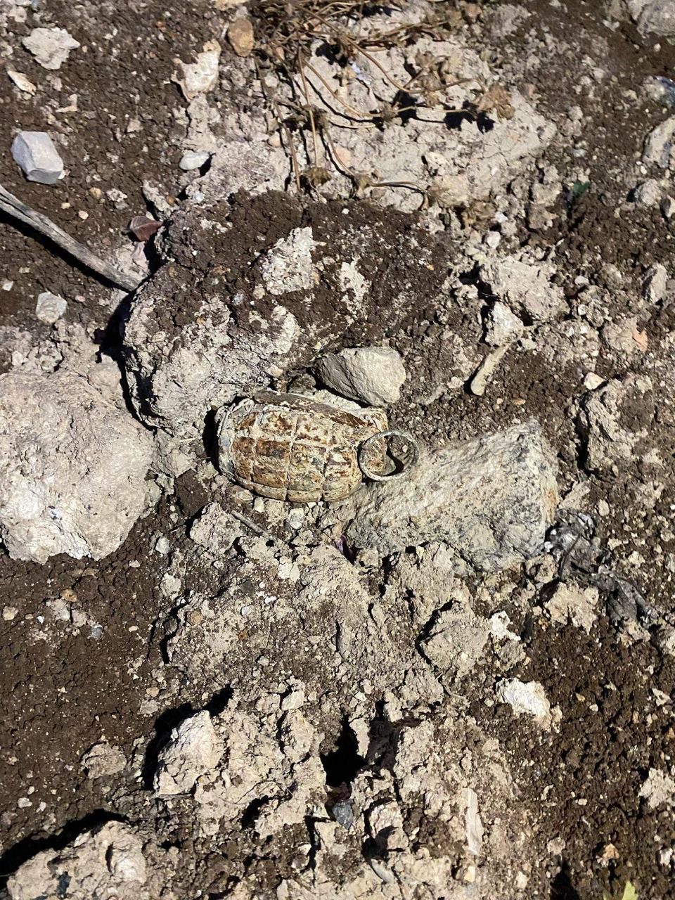 Army safely disposes old hand grenade found in Irbid