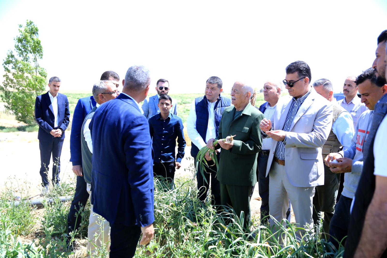 Issawi tours Royal Initiatives' agricultural projects in Ma'an, Aqaba