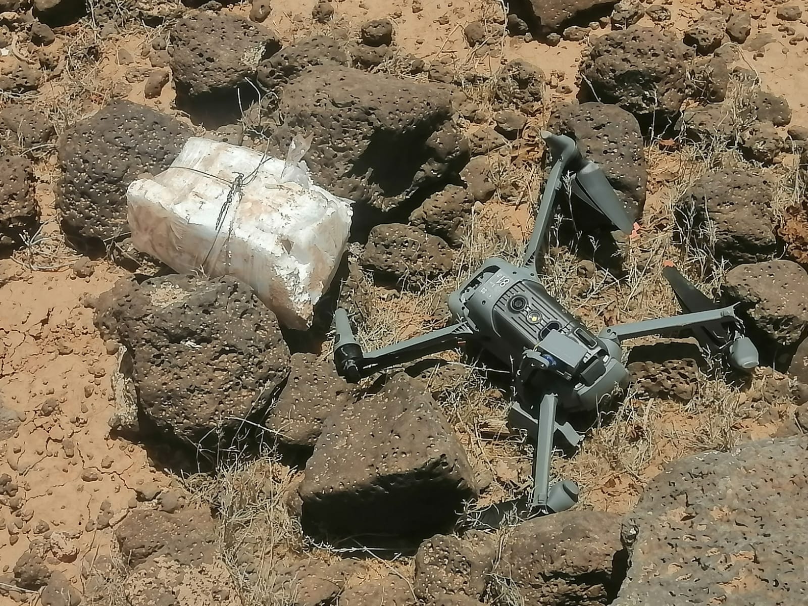 Army Downs Drone Smuggling Narcotics on Eastern Border