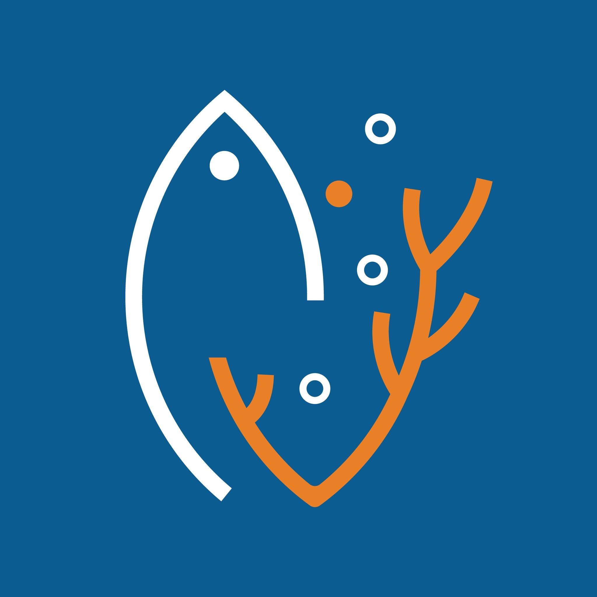 Aqaba Marine Reserve Achieves Milestones in Coral Conservation, Global Recognition