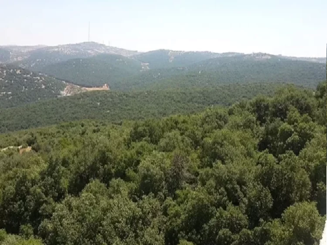 Ajloun Forests Key to Environmental Sustainability, Local Development