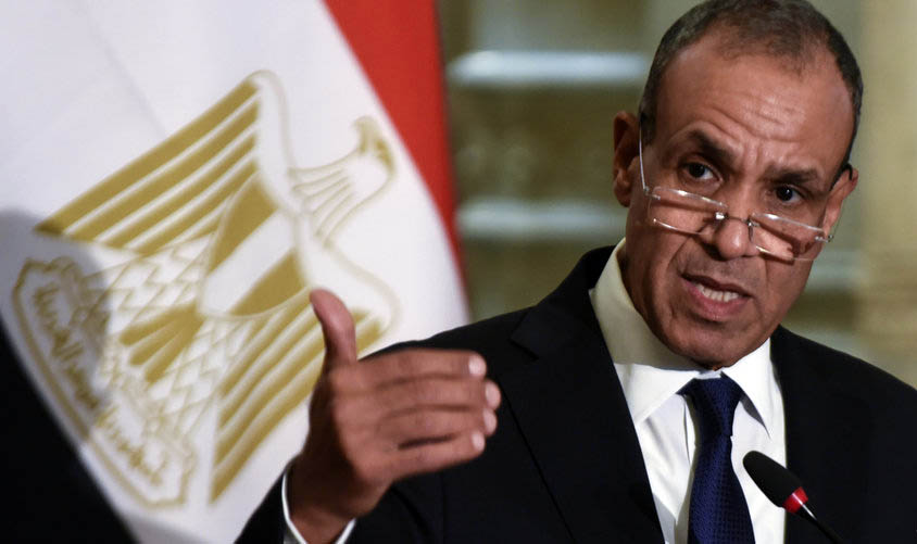 Egypt, Jordan in full alignment on Palestine issue - Egyptian FM