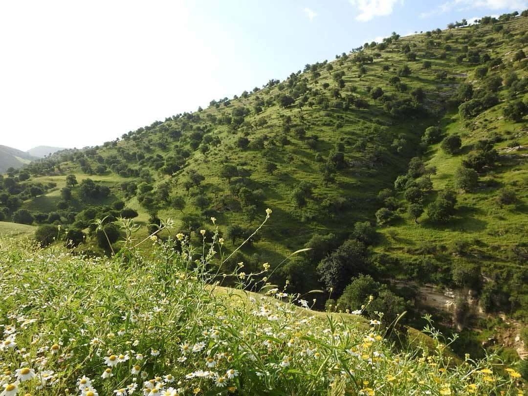 Experts: UNESCO Listing of Yarmouk Reserve Strengthens Jordan’s Eco-Tourism Appeal