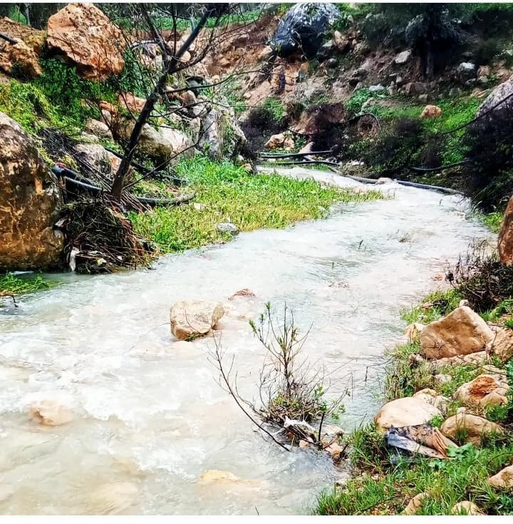Ajloun’s Water Mills: Echoes of Rural Life and Flowing Heritage