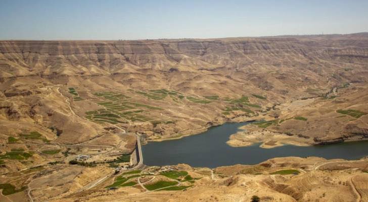 Environment Ministry Probes Fish Deaths in Mujib Dam, Says Water Conditions ‘Normal’