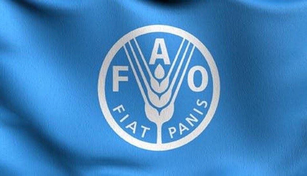 "الفاو" تحذر من كارثة إنسانية وزراعية غير مسبوقة في قطاع غزة