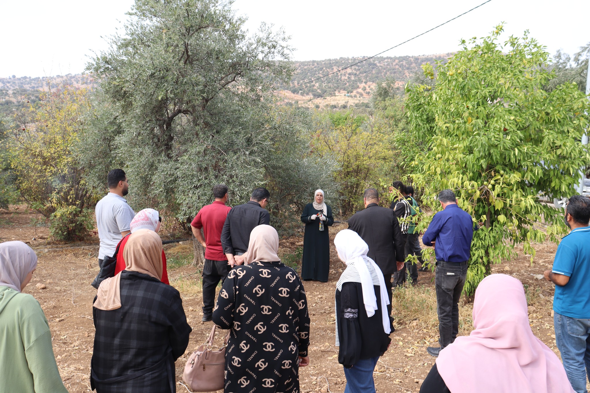 مركز إكساب ينظم يومًا حقليًا حول قطاع الزيتون