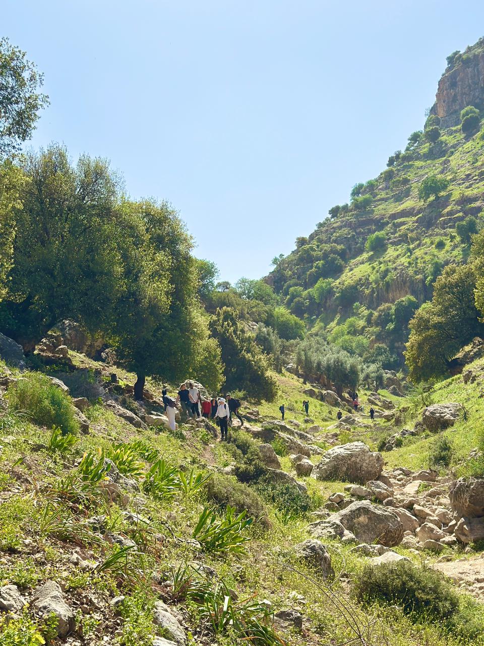 اربد: مبادرات "اعرف وطنك" لاستكشاف المناطق السياحية والطبيعية في المملكة