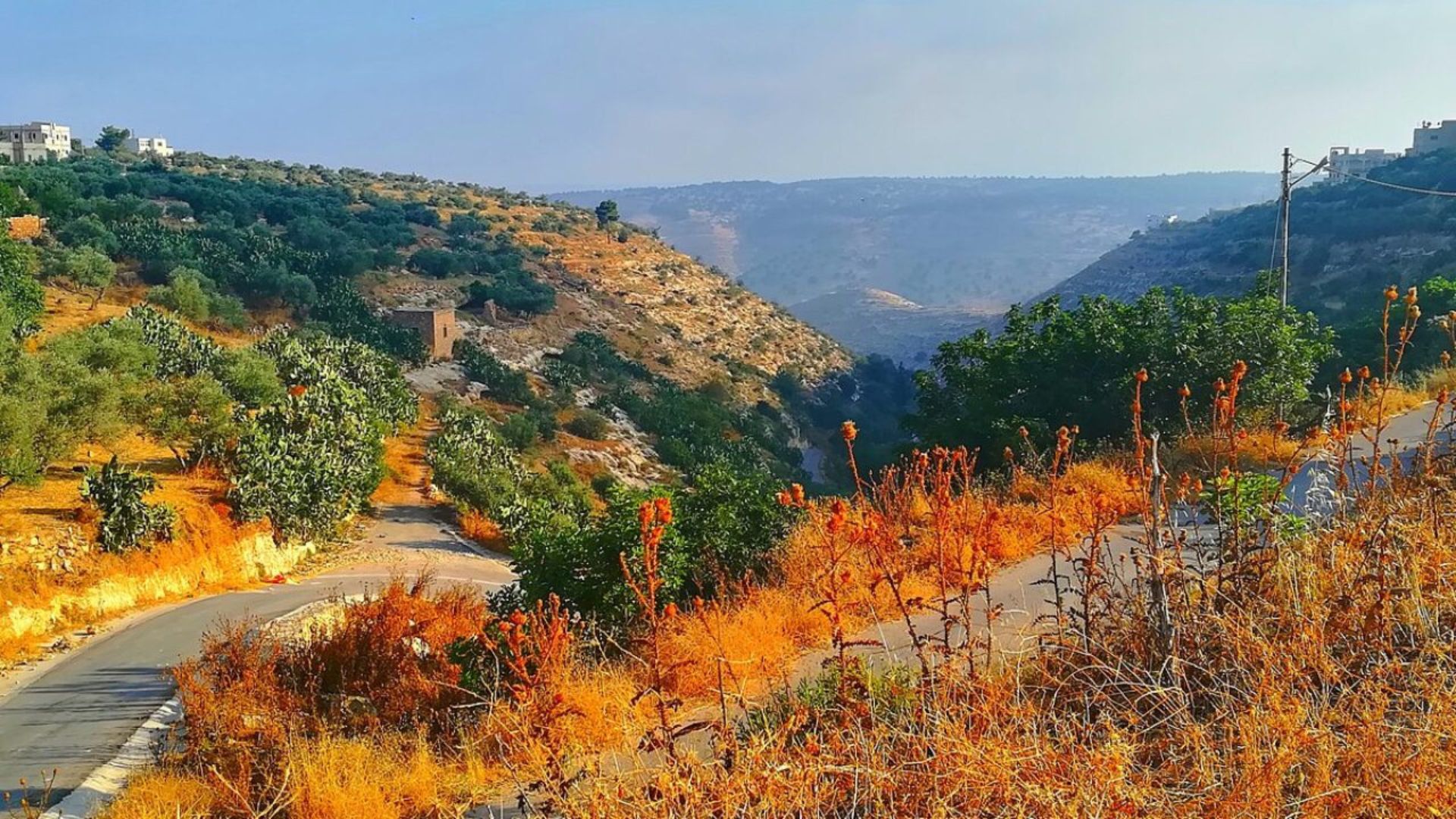 Mild, Pleasant Autumn Weather Continues Through Friday