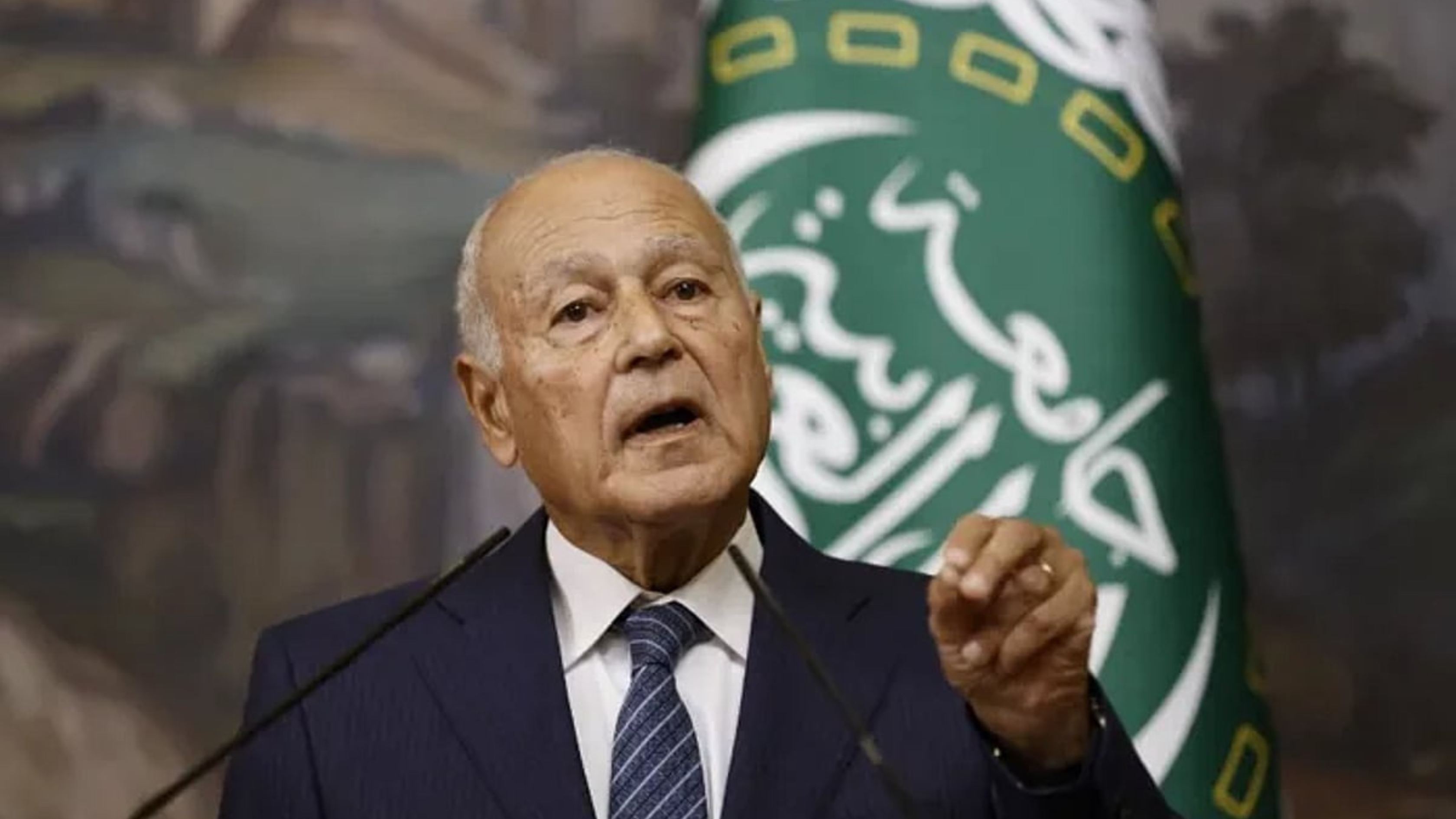 أبو الغيط: قرار مجلس الأمن بشأن غزة بداية لتحقيق الاستقرار وإعادة الإعمار