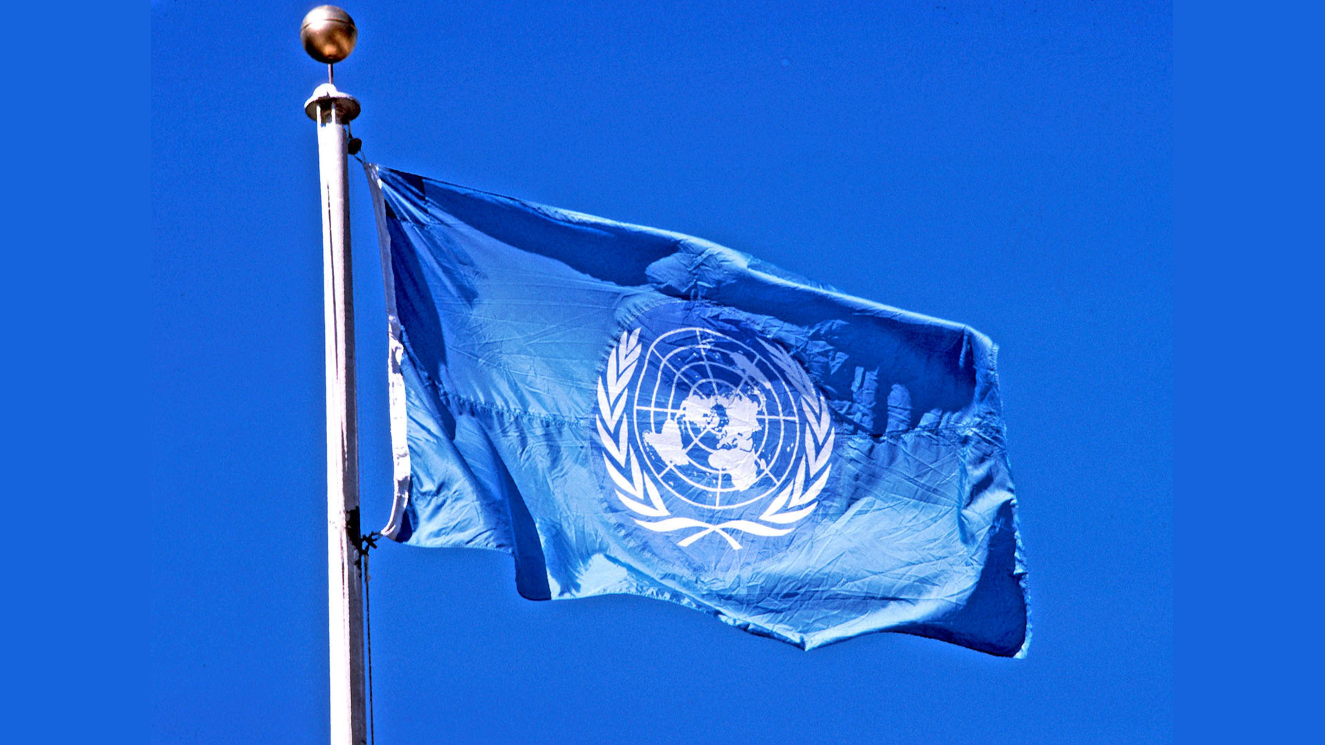 تجديد تفويض أونروا انتصار للدبلوماسية الاردنية وتأكيد أممي لشرعية حق اللاجئين