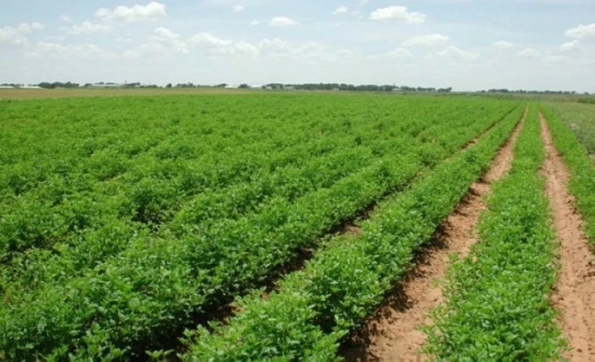 الكرك: مزارعون يدعون إلى تعزيز القدرات على التكيف مع التغيرات المناخية