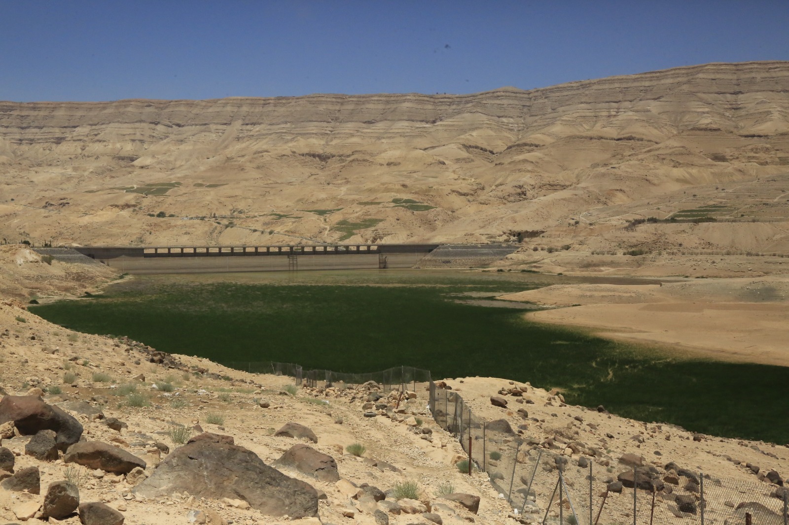 المياه: الهطولات المطرية ترتفع الى 5,6 % من المعدل السنوي