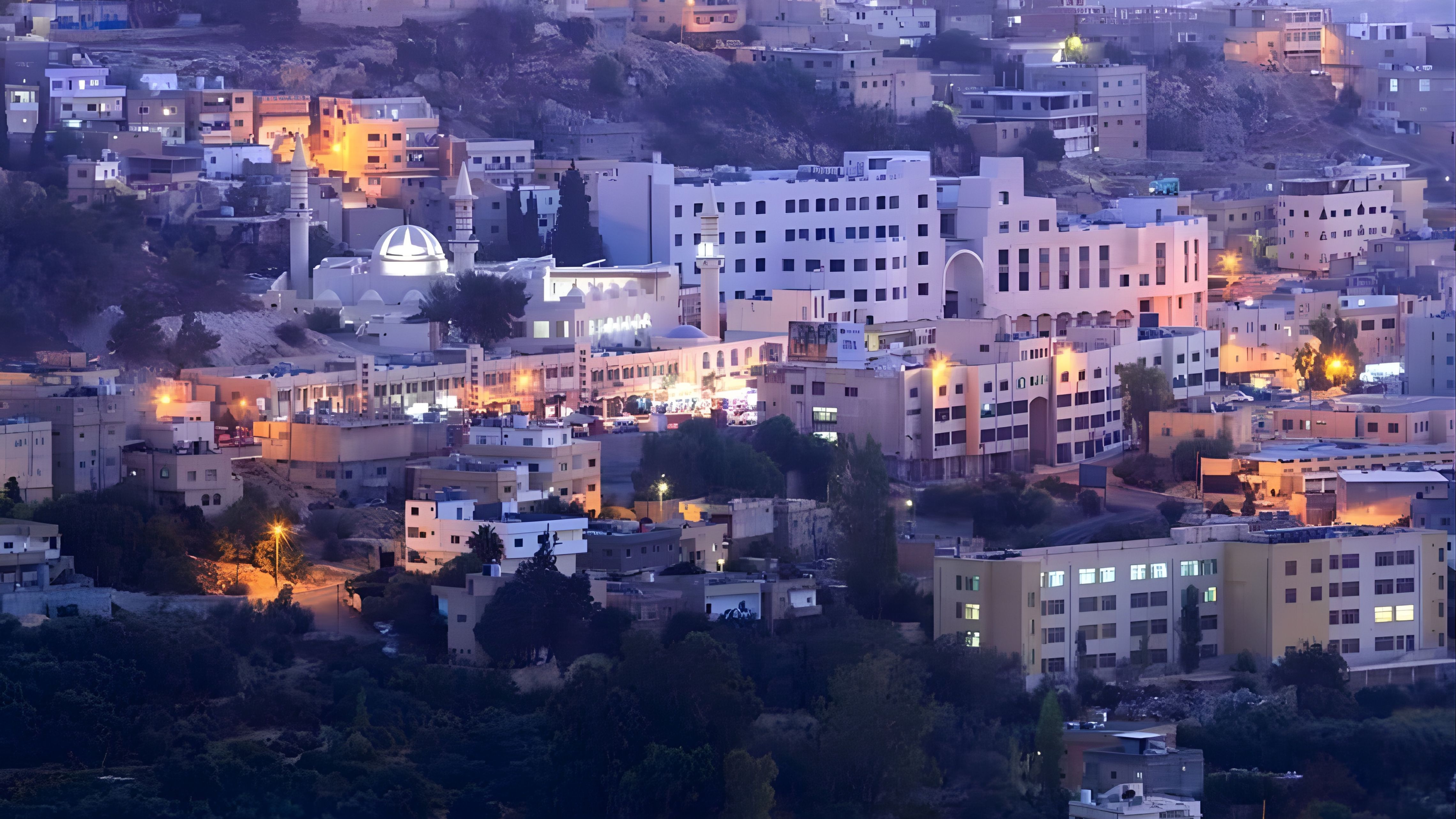 الطفيلة.. أجهزتنا الأمنية ركيزة صلبة لصون أمن الوطن واستقراره