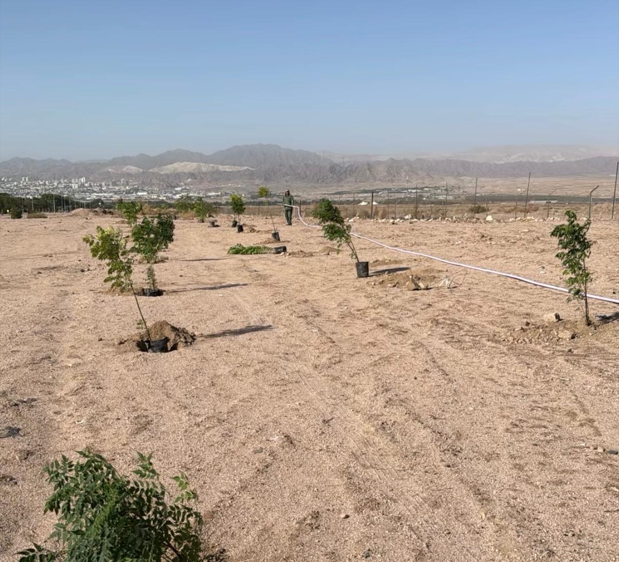 أنشطة تنموية متنوعة في عدد من المحافظات