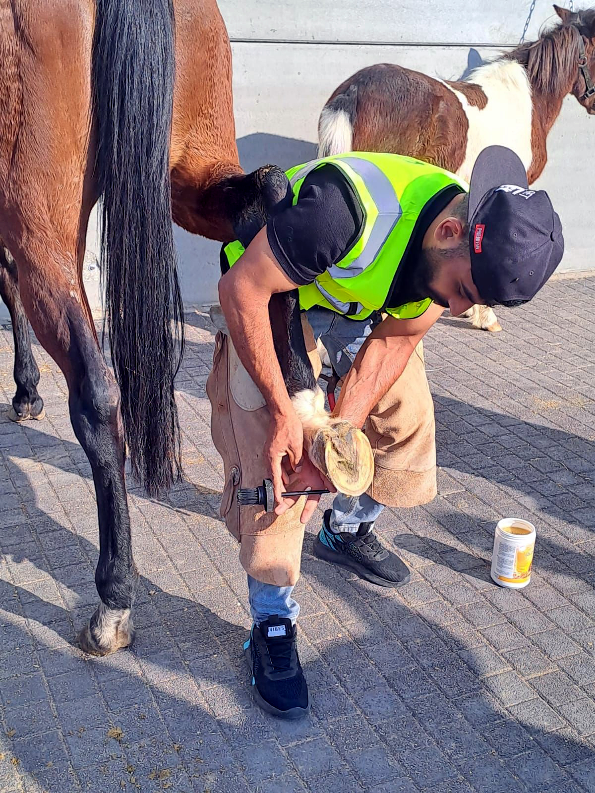 اختتام برنامج "فن التعامل مع الخيول والحذو" في العقبة