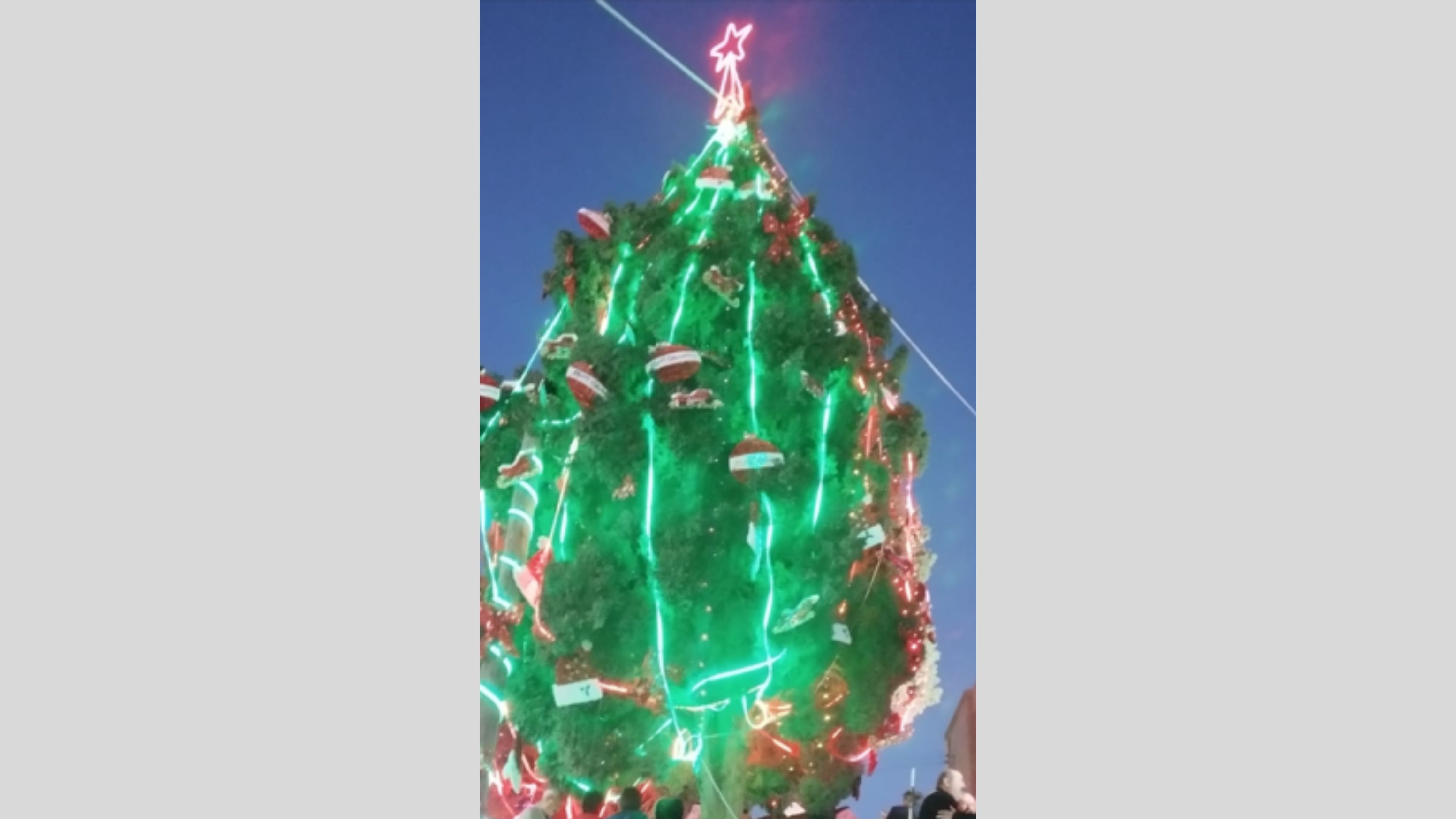 إضاءة شجرة عيد الميلاد في ماعين