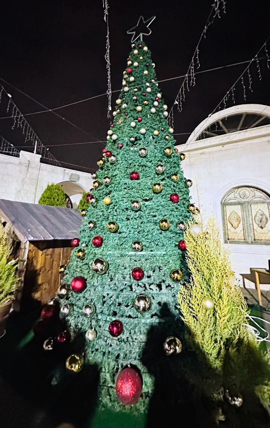 عجلون: عيد الميلاد رسالة إنسانية تجسد قيم السلام ووحدة النسيج الوطني