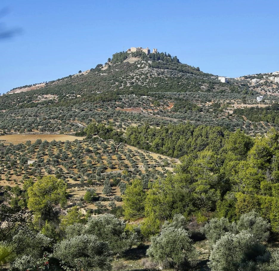 مطالب بزيادة مخصصات مشاريع الحصاد المائي في عجلون