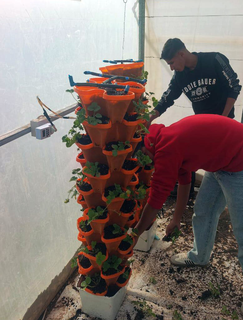 "مهني البادية" ينفذ تدريبات في مجال الزراعة المائية