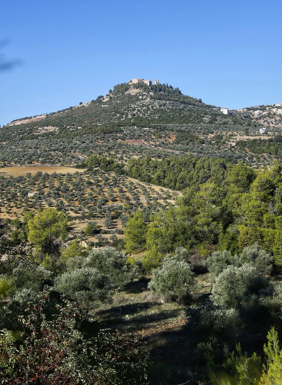 يوم تراثي لإحياء الأكلات الشعبية في عجلون