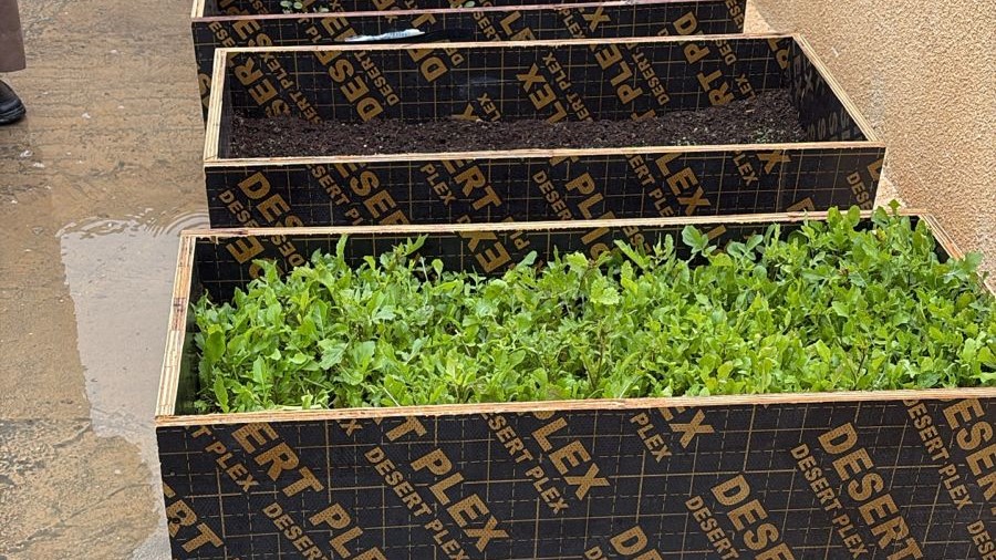 إطلاق مبادرة "زراعية مبتكرة لاستغلال أسطح المباني" في المفرق