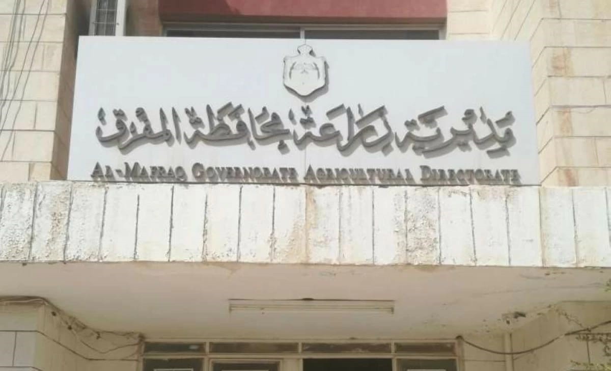 زراعة المفرق: الأمطار الأخيرة تعزز الآمال بموسم جيد