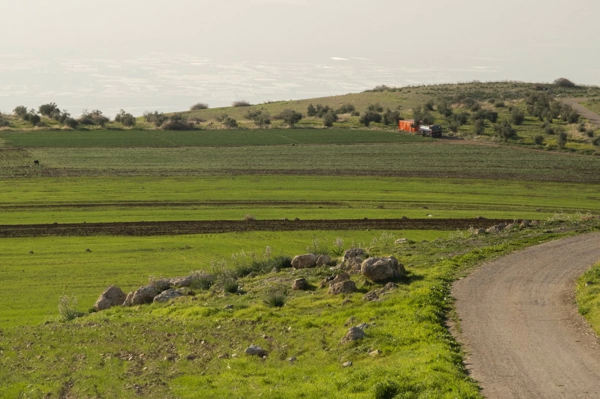 الزراعة : أمطار الخير تعزز الإنتاج الزراعي وتدعم الثروة النباتيةً بالمملكة