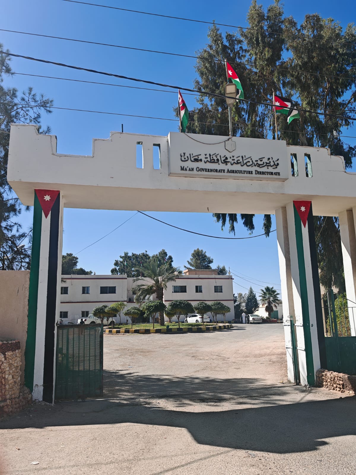 "زراعة معان" تنفذ حزمة مشاريع وبرامج تنموية للنهوض بالقطاع الزراعي خلال 2025