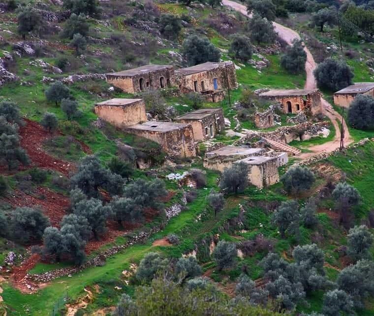 "أبو الزيتون" ... قرية في عجلون تجسد روح التاريخ وأصالة المكان