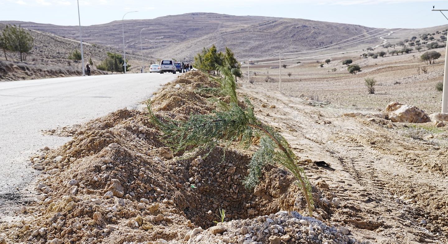 بدء تنفيذ مشروع "الحزام الأخضر" في منطقة الهيشة بالبترا