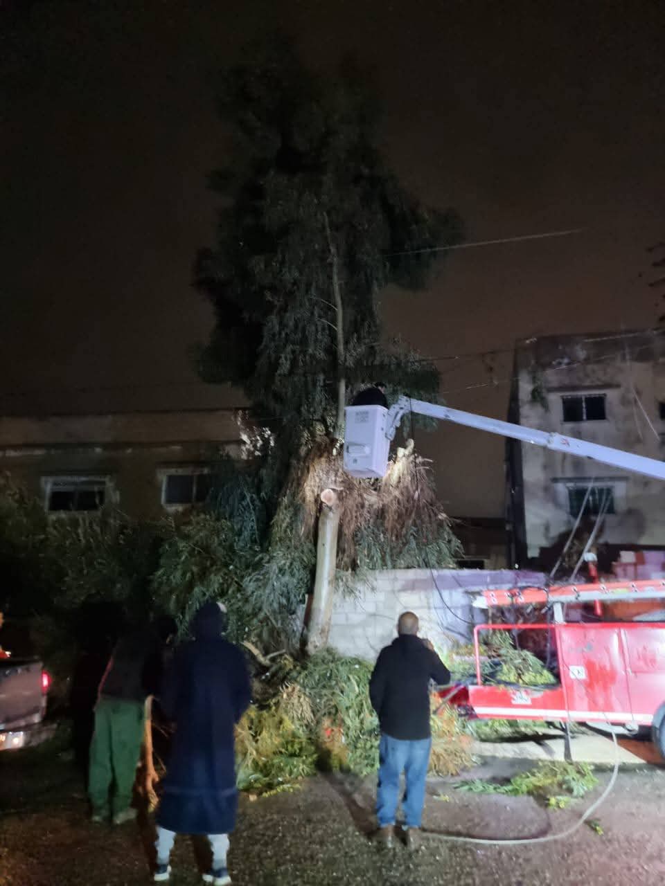 زراعة الزرقاء تتعامل مع شجرة تسببت بانقطاع الكهرباء في السخنة