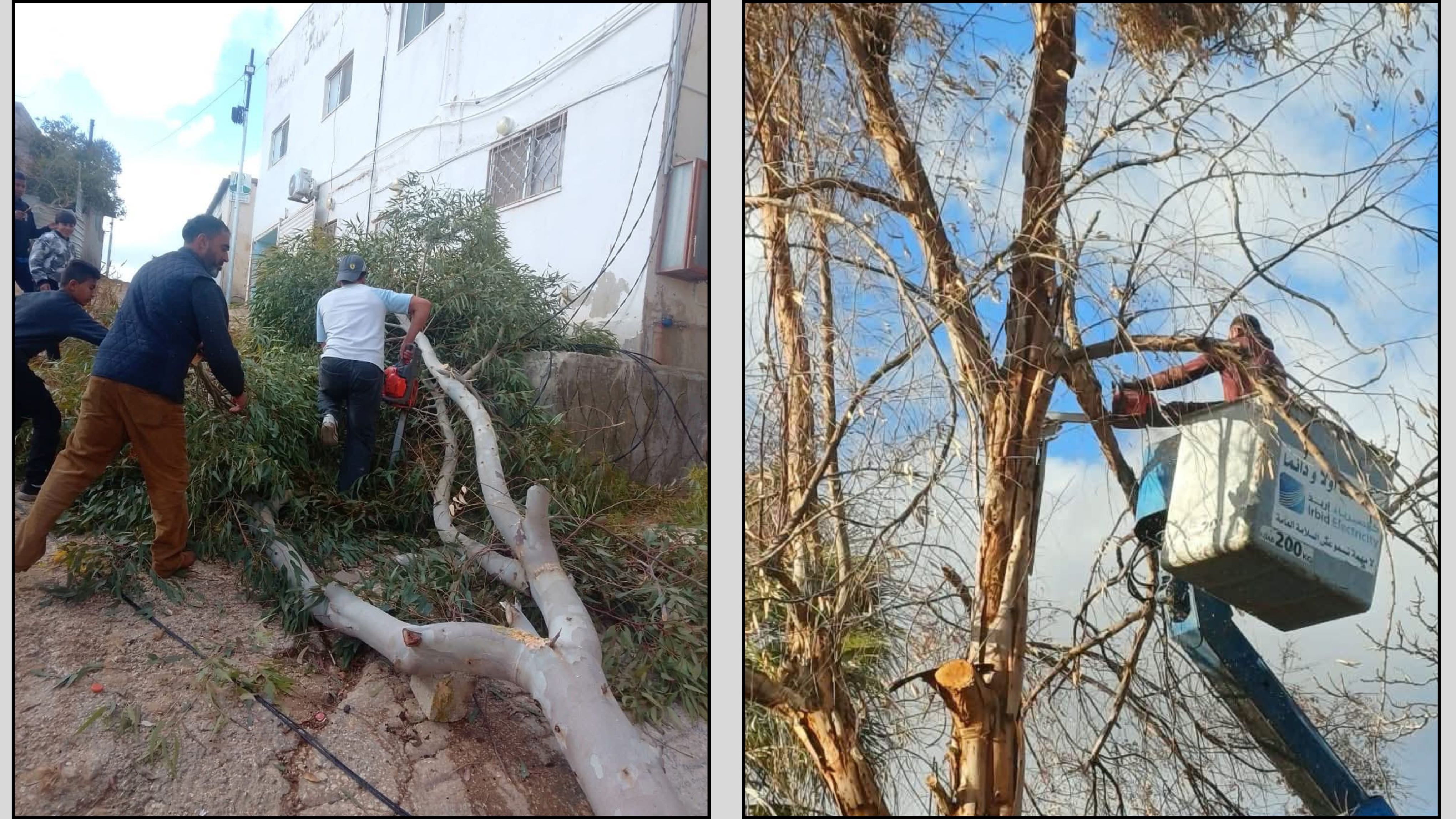 "زراعة جرش": دوريات حراجي "عصفور" و"دبين" تعمل على مدار الساعة