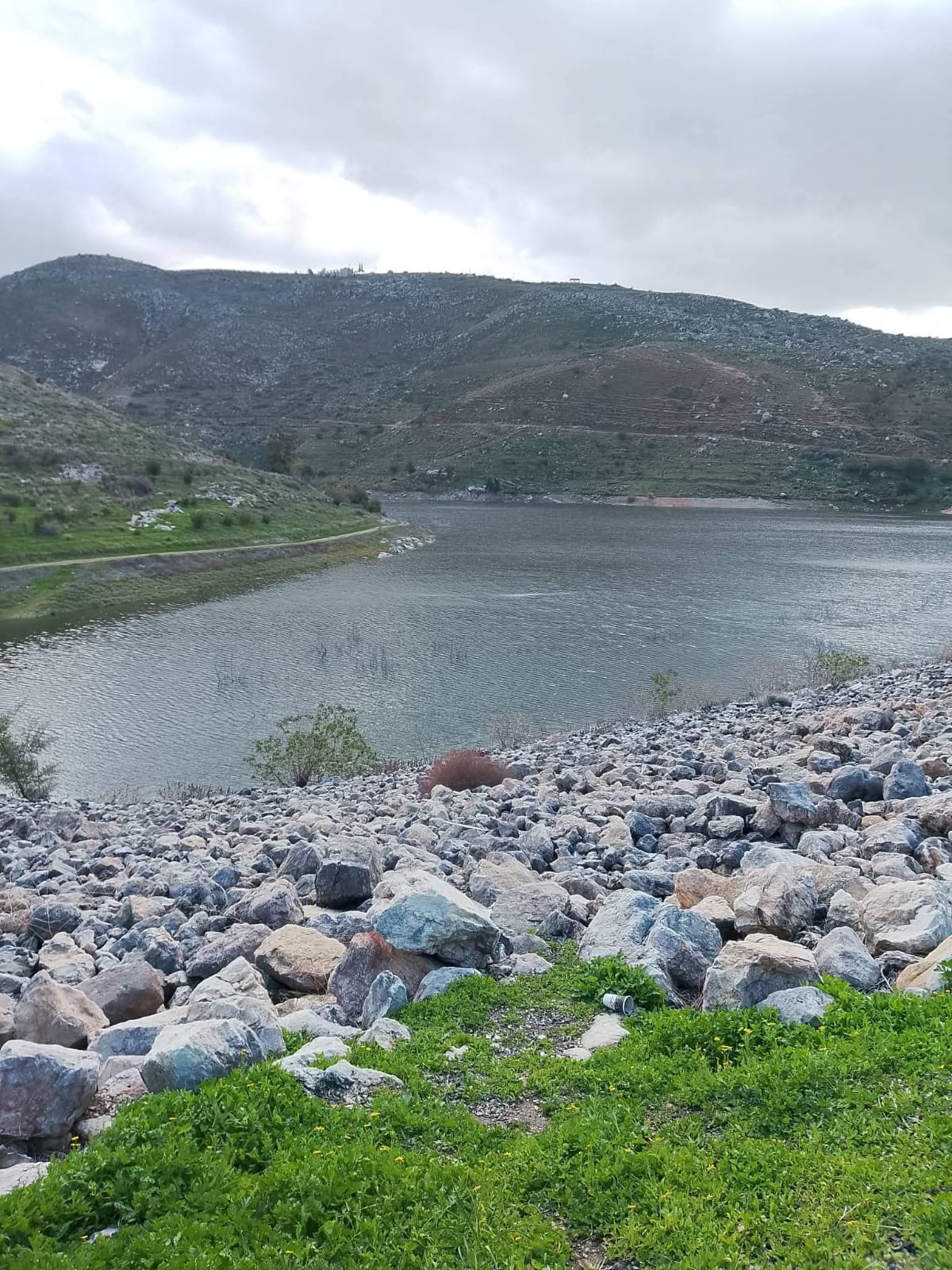 دفء المناخ يستقطب المتنزهين وينعش السياحة في الأغوار الشمالية