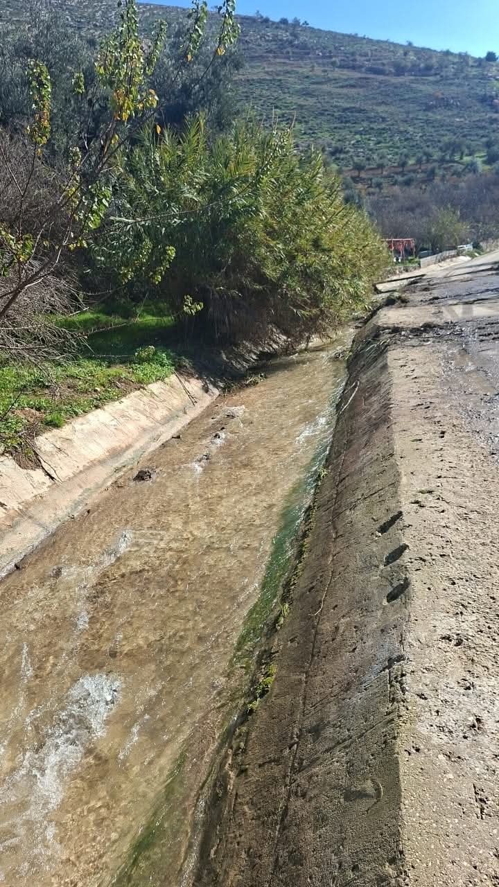 تفجر الينابيع ونمو الربيع في لواء الكورة