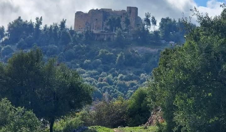 عجلون: الموسم المطري يعيد الأمل للمزارعين وينعش القطاع