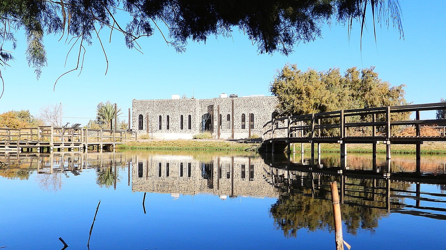 الأمطار تنعش قاع الأزرق وتعزز التنوع الحيوي