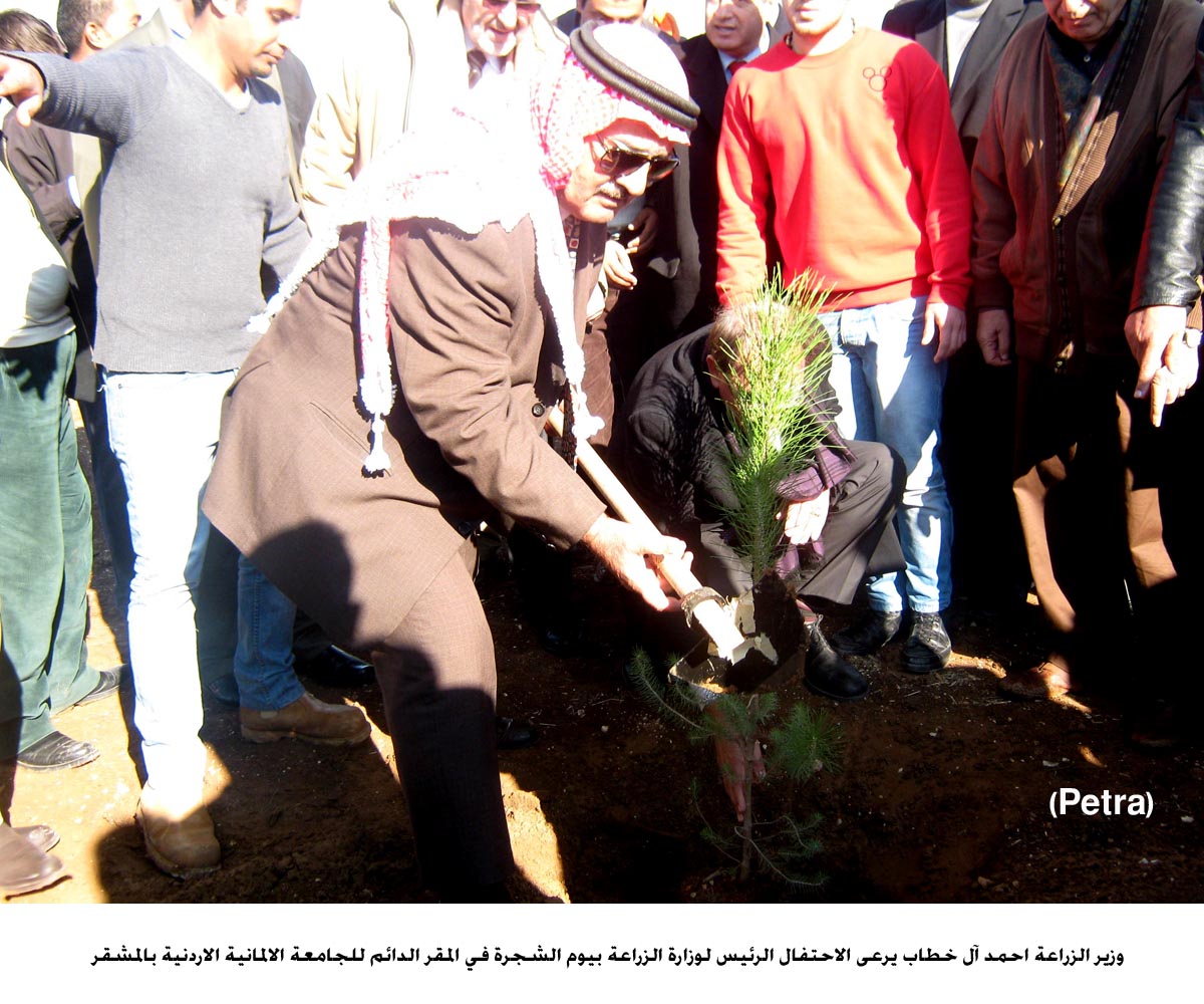 احتفالات المملكة بيوم الشجرة