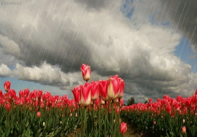 Cold, rainy weather till Tuesday