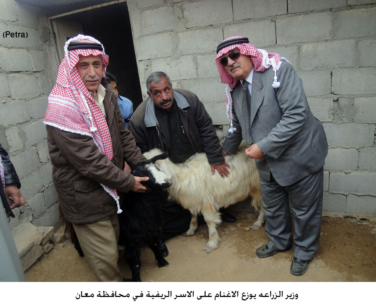 وزير الزراعه يوزع الاغنام على الاسر الريفية في محافظة معان
