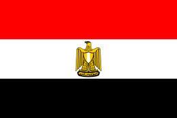 قوى سياسية مصرية تلبي دعوة الحكومة المصرية للتهدئة