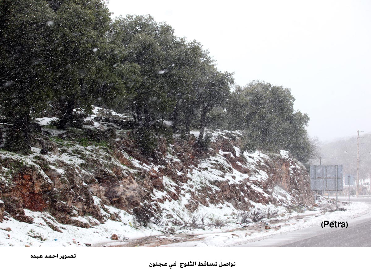 تواصل تساقط الثلوج في عجلون