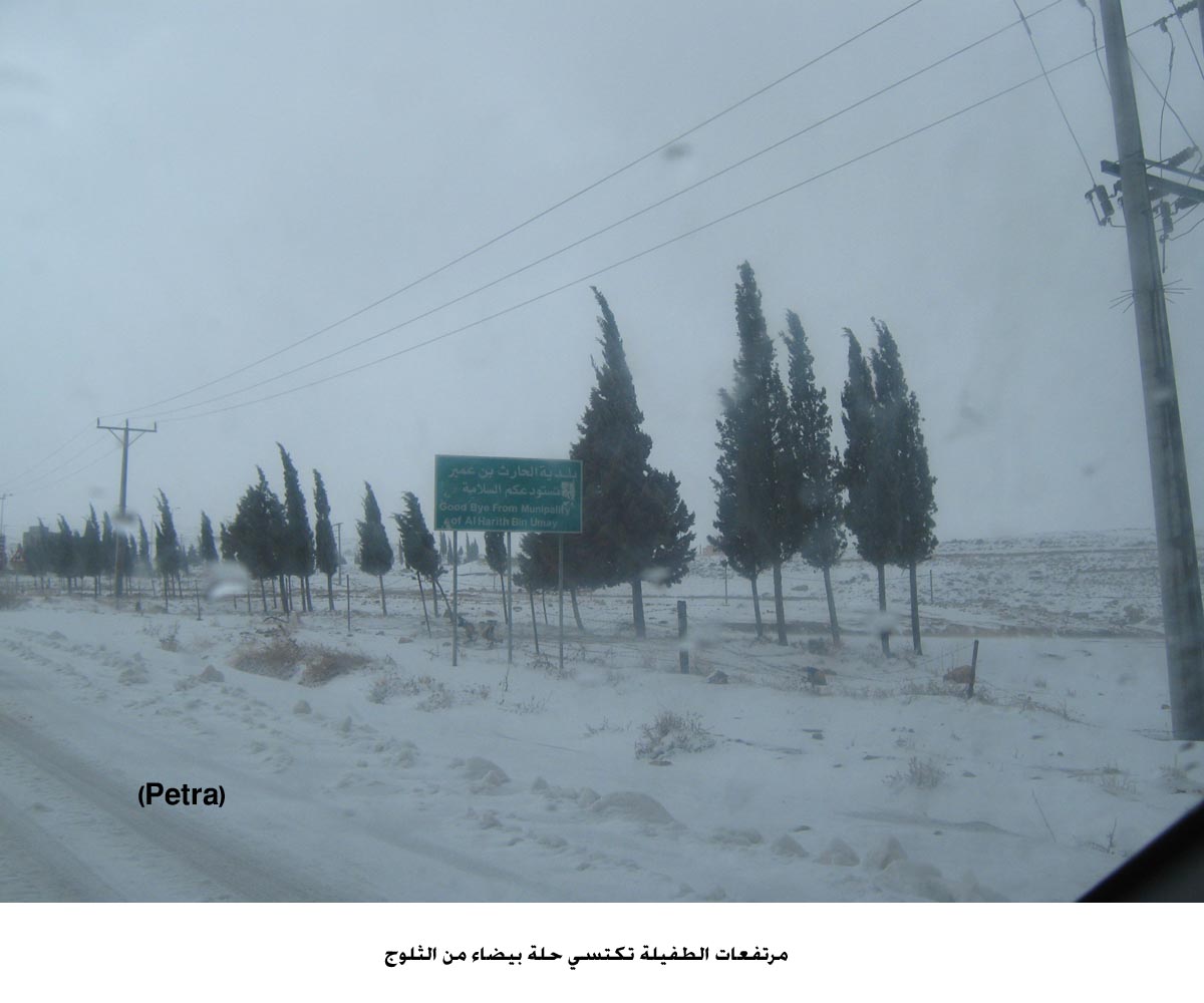 مرتفعات الطفيلة تكتسي حلة بيضاء من الثلوج - مصور