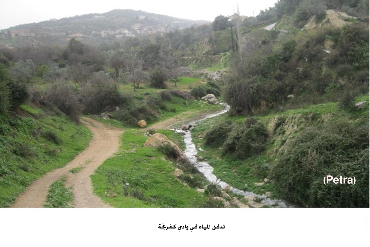 ارتفاع منسوب المياه في أودية عجلون