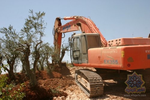 الاحتلال يجرف 30 دونما ويقتلع 750 شجرة مثمرة شمال غرب الخليل