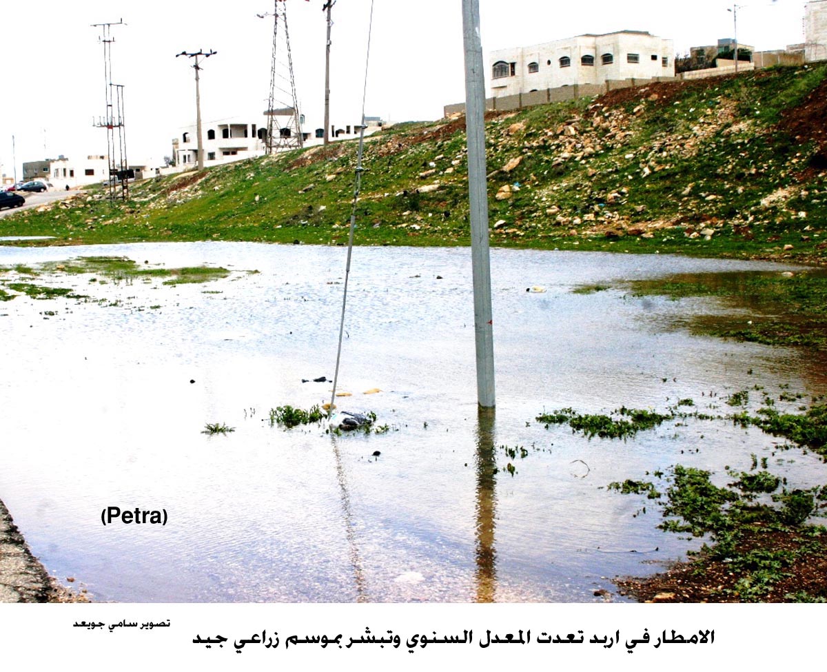 الامطار في اربد تعدت المعدل السنوي وتشي بموسم زراعي جيد